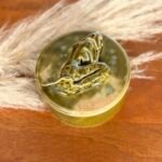 Boite céramique l'Endormie